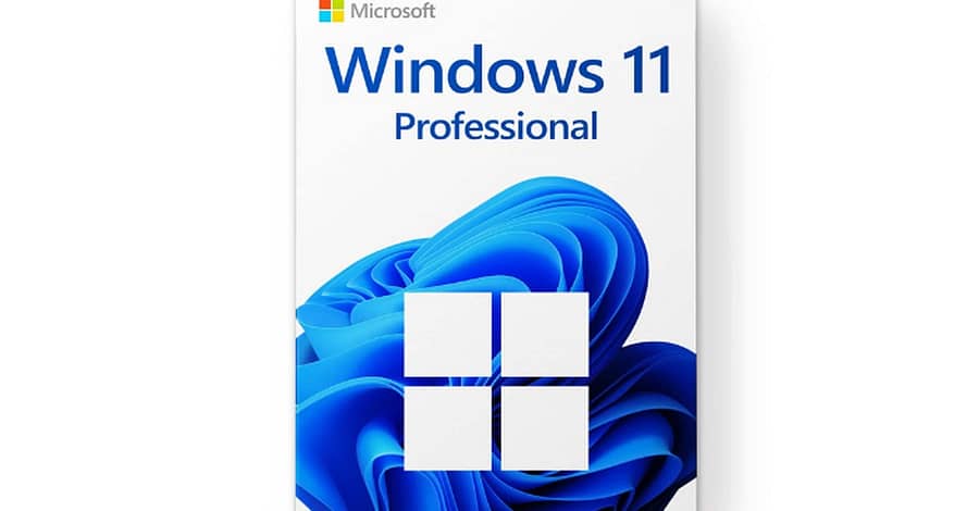 Windows 11 Pro â Lifetime License National Deal other Shop Online at Dubai Trades 2